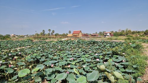 Natural Bungalows in Kampong Cham