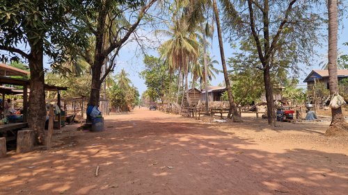 Trek Jungle