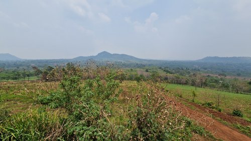 Plateau des Boloven