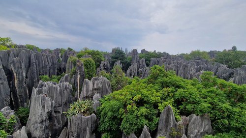 Kunming Foret de Pierres